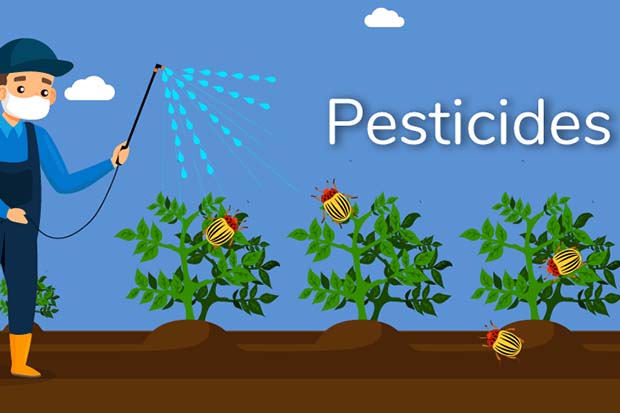 Pesticides