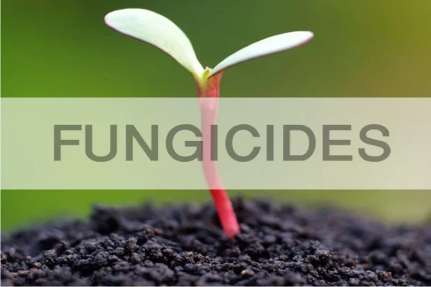 fungicides