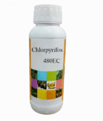 Pesticide chlorpyrifos 48% EC